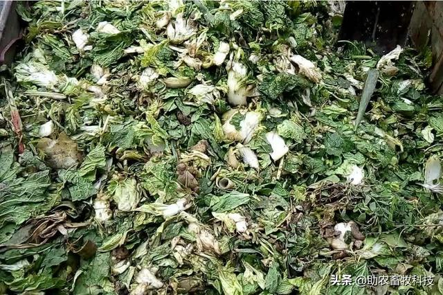 菜市場有機(jī)垃圾處理解決方案